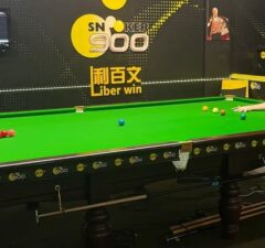 Марк Дэвис — Чемпион Snooker 900 после напряженной борьбы в Рединге
